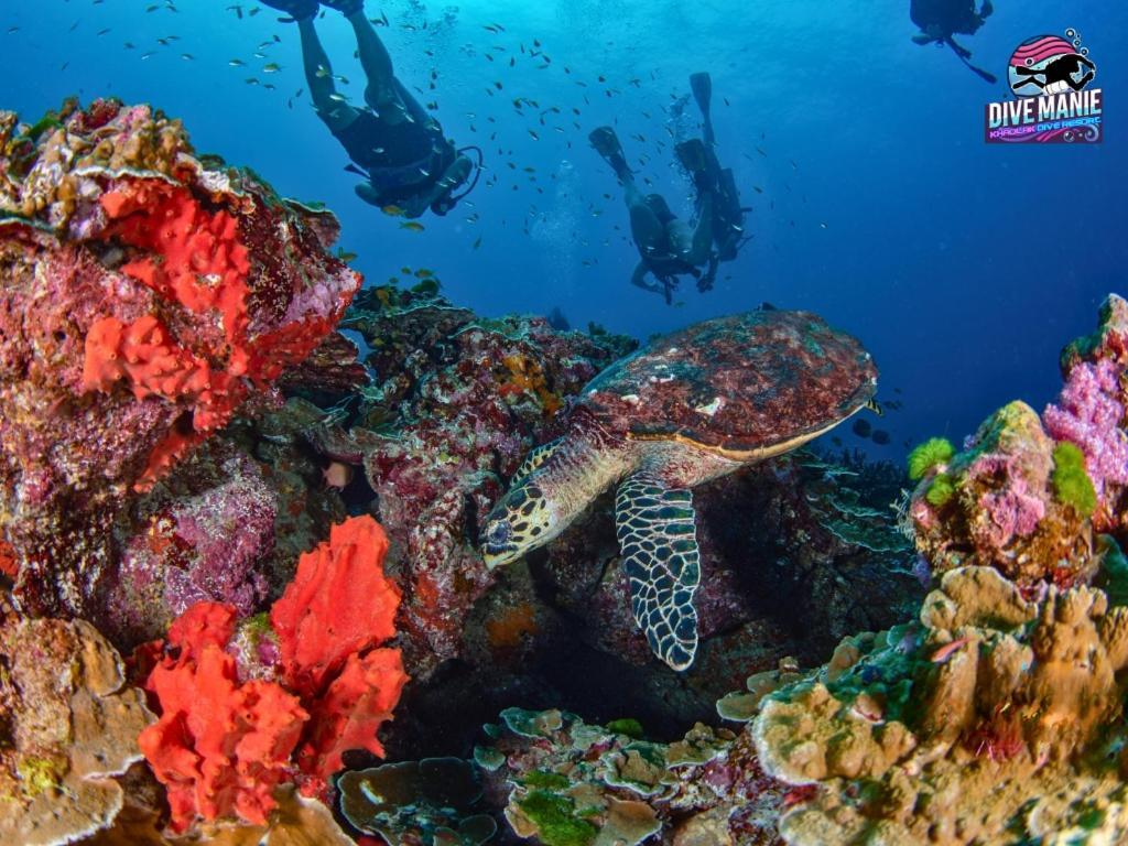 Khaolak Dive Resort Khao Lak Bagian luar foto