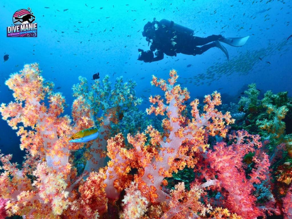 Khaolak Dive Resort Khao Lak Bagian luar foto